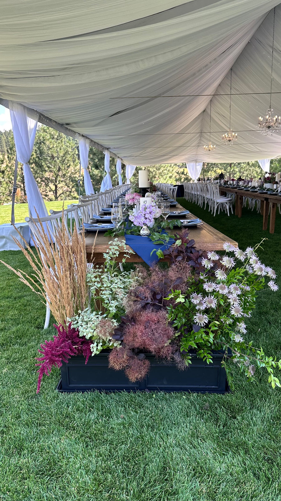 Outdoor wedding reception with tables, chairs. Wedding reception flowers created by Daisies in May