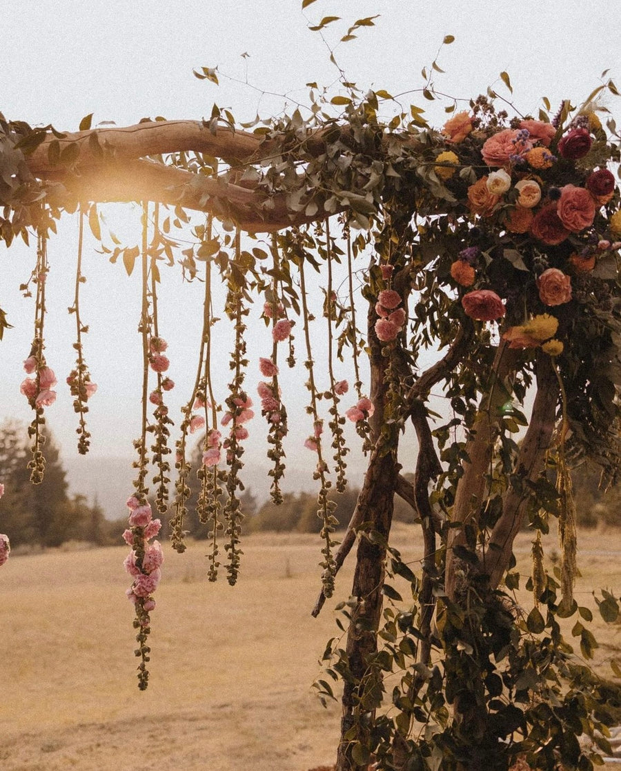 Driftwood arch adorned with dripping wildflower arrangements by Daisies in May florist in Spokane, WA
